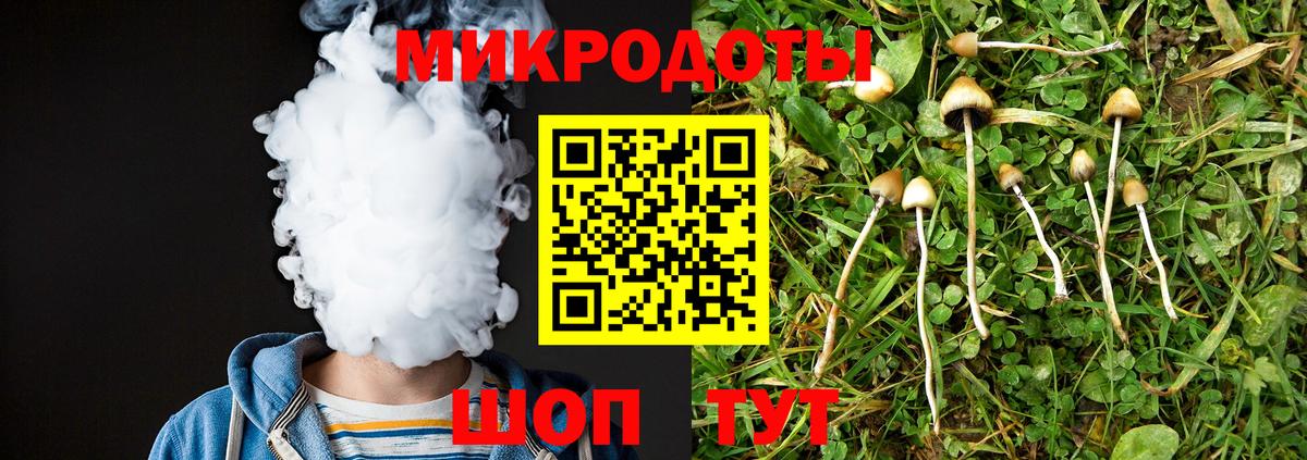 Галлюциногенные грибы Psilocybine cubensis Скопин