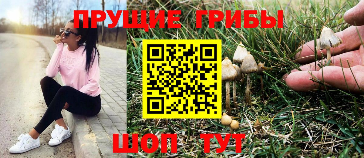 Галлюциногенные грибы прущие грибы  Вход с VPN  где купить наркотик  Скопин 